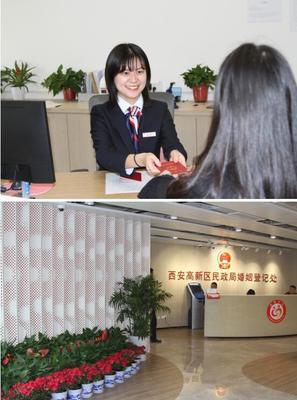 执子之手与子偕老 幸福从此启航 走进高新区婚姻登记处